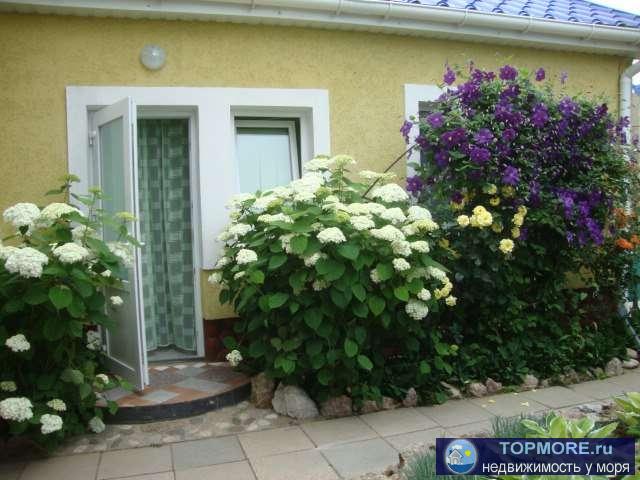 Приглашаю на отдых добропорядочных людей ценящих домашний уют и дружелюбную атмосферу В свой уютный дворик. Он хорошо... - 14