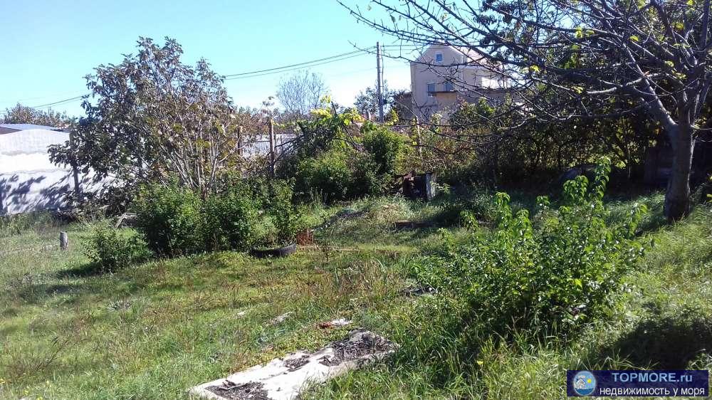 Продам участок в районе Автобата, микрорайон Фиолент в ст «Скалистый-89», участок ровный, неухоженный, растут... - 1