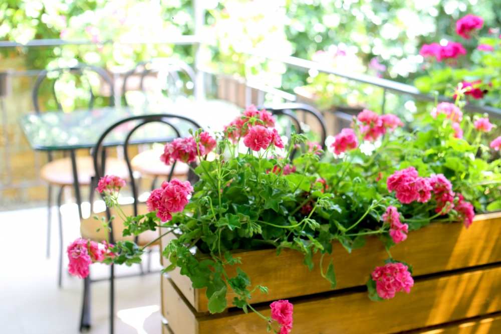 ОТКРЫТО БРОНИРОВАНИЕ НА СЕЗОН 2025    СУДАК. ГОСТЕВОЙ ДОМ 'ПРОХЛАДА' 8 МИНУТ ДО МОРЯ.  Гостевой дом расположен на... - 13