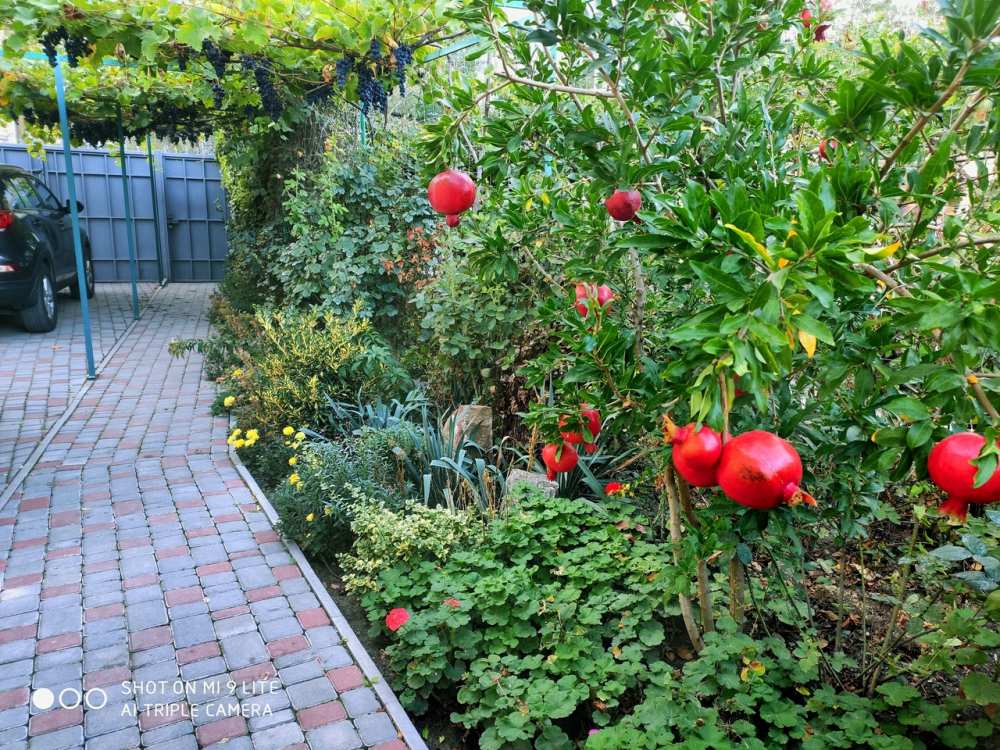 ОТКРЫТО БРОНИРОВАНИЕ НА СЕЗОН 2025    СУДАК. ГОСТЕВОЙ ДОМ 'ПРОХЛАДА' 8 МИНУТ ДО МОРЯ.  Гостевой дом расположен на... - 19