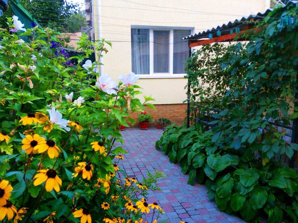 ОТКРЫТО БРОНИРОВАНИЕ НА СЕЗОН 2025    СУДАК. ГОСТЕВОЙ ДОМ 'ПРОХЛАДА' 8 МИНУТ ДО МОРЯ.  Гостевой дом расположен на... - 23