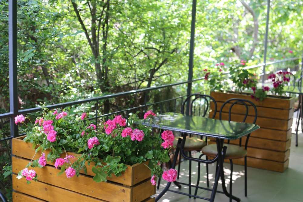 ОТКРЫТО БРОНИРОВАНИЕ НА СЕЗОН 2025    СУДАК. ГОСТЕВОЙ ДОМ 'ПРОХЛАДА' 8 МИНУТ ДО МОРЯ.  Гостевой дом расположен на... - 33