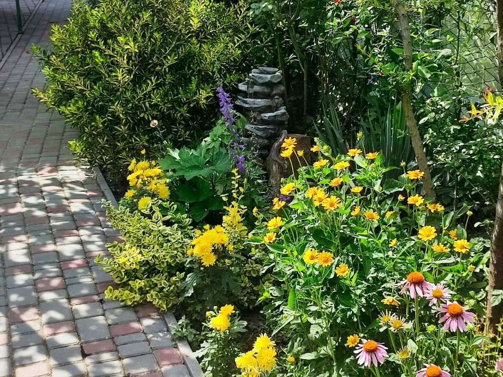 ОТКРЫТО БРОНИРОВАНИЕ НА СЕЗОН 2025    СУДАК. ГОСТЕВОЙ ДОМ 'ПРОХЛАДА' 8 МИНУТ ДО МОРЯ.  Гостевой дом расположен на... - 35