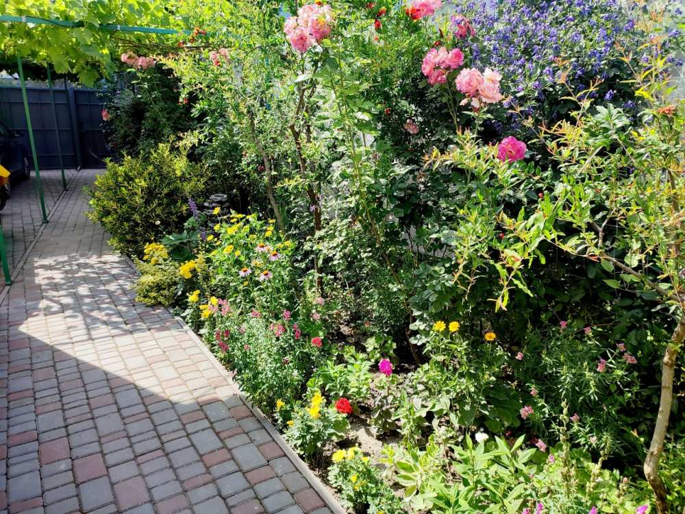 ОТКРЫТО БРОНИРОВАНИЕ НА СЕЗОН 2025    СУДАК. ГОСТЕВОЙ ДОМ 'ПРОХЛАДА' 8 МИНУТ ДО МОРЯ.  Гостевой дом расположен на... - 37