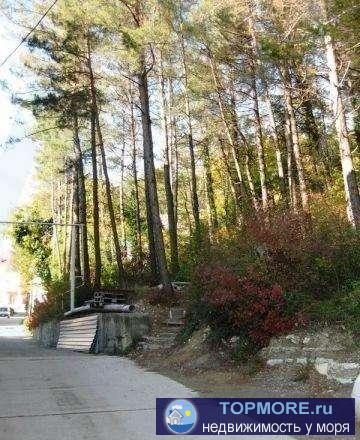 Продаю земельный участок п.Лазаревское, г Сочи, пер.Победы, тихое, элитное место, 6 сот., ИЖС, собственность,... - 1