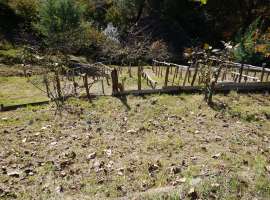 Продается земельный участок в Лазаревском районе поселок Волконка....