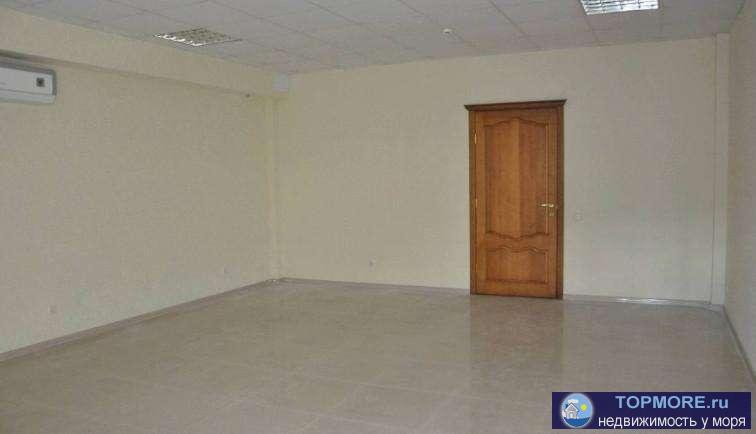 Сдается помещение 65 кв.м. на Пожарова. Состоит из 2-х кабинетов 43 кв м торговый зал и 12 кв подсобное помещение.... - 2