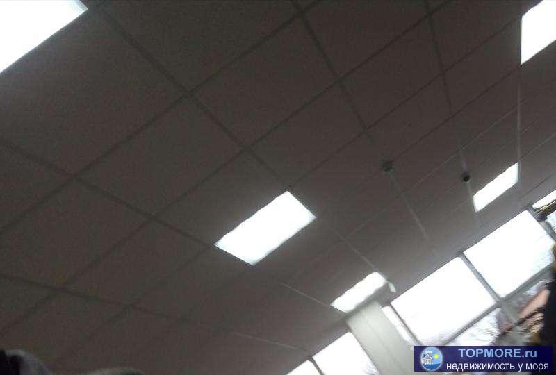 Аренда помещения свободного назначения в Центре города. ПЕРВАЯ ЛИНИЯ!!! Отдельный вход. Все коммуникации.... - 1