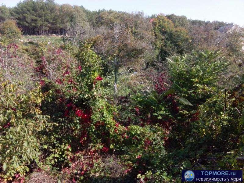 Купить дом в Севастополе. Продается дом 120 м2 в Севастополе. Продам дом 120 м2 в СТ Родничок.  Дом недостроен, есть... - 1