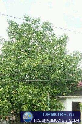 Продается жилая дача 30 кв.м. на участке 5,8 сот. по ул. Шабалина (Молочная балка, в/ч). Дом новой постройки 5на 6,... - 1