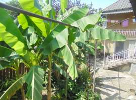 Продается на побережье 2 эт. дом в г. Сухум, частный сектор, райн...