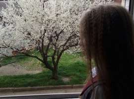 Этаж высокий, Вся инфраструктура рядом.Магазины, садики, аптеки,...