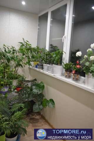 Я собственник.Продам чистую, светлую, уютную двушку (распашёнку) в центре города. Всё в шаговой доступности,... - 2