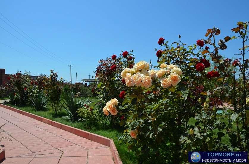 Отдых в Крыму - ЛЕТО 2024! Приглашаем провести семейный отдых в Крыму!  Частный пансионат «У Моря» расположен в 5... - 10