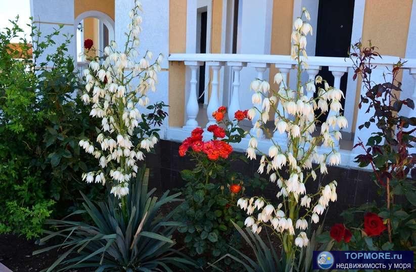 Отдых в Крыму - ЛЕТО 2024! Приглашаем провести семейный отдых в Крыму!  Частный пансионат «У Моря» расположен в 5... - 13