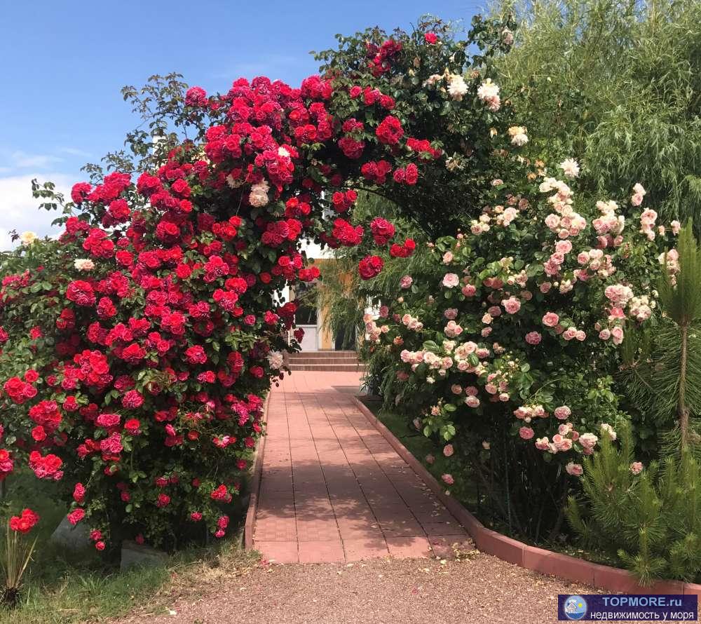 Отдых в Крыму - ЛЕТО 2024! Приглашаем провести семейный отдых в Крыму!  Частный пансионат «У Моря» расположен в 5... - 34