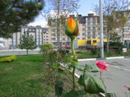 Горячее предложения! В ЖК Бельведер в 3,4 и 5 литерах есть квартиры...