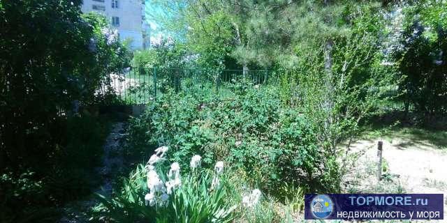 Продам трех комнатную квартиру с палисадником в центре Евпатории (ул. Фрунзе). Первый этаж четырех этажного дома.... - 1