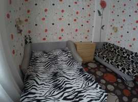 СВОЯ комфортабельная однокомнатная квартира со всеми удобствами,...