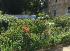 Отпуск в доме царской постройкиЧетырехметровые потолкиКухня с...