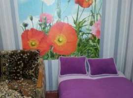 Комфортная двухкомнатная квартира в общем дворе. Имеется свой,...