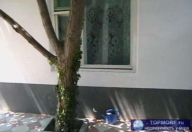 Отдельный закрытый, зелёный двор.(ДВОР ОТДЕЛЬНЫЙ!!!) Расположение в курортной зоне города, район парка им.Фрунзе.... - 2