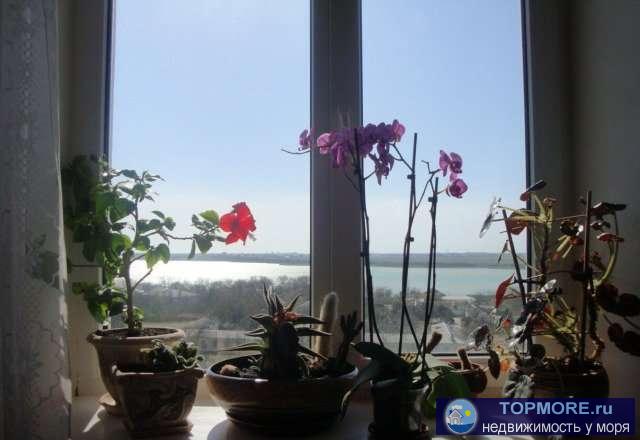 Сдам 2 комн квартиру. Вид из окна на озеро Мойнаки и Чёрное море! Сдаётся с мая по октябрь. Цена меняется в...