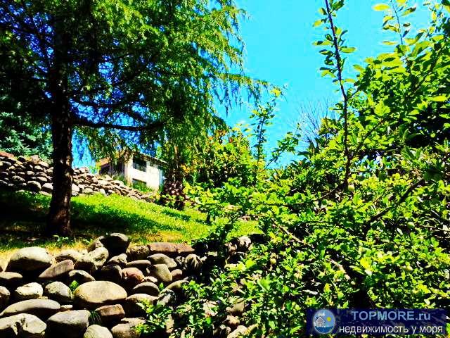 Срочная продажа 1300кв м на 15 соток земли ,потрясающего своим Дизайнерским решением, Гостевого Дома в Центральном... - 3