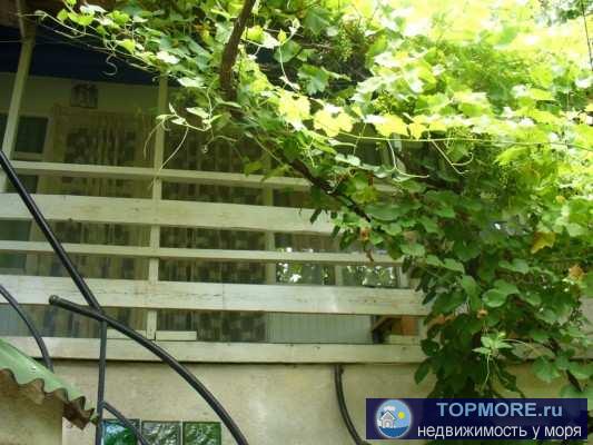 Приглашаем на отдых в нашу мини-гостиницу!   2-3-4-местные номера с удобствами и Wi-Fi, милый дворик, радушный приём,... - 10