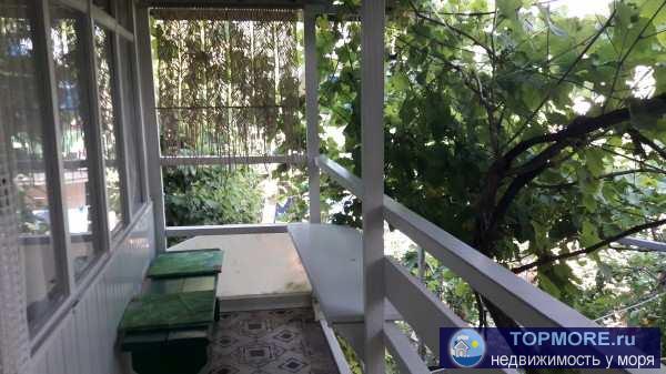 Приглашаем на отдых в нашу мини-гостиницу!   2-3-4-местные номера с удобствами и Wi-Fi, милый дворик, радушный приём,... - 15