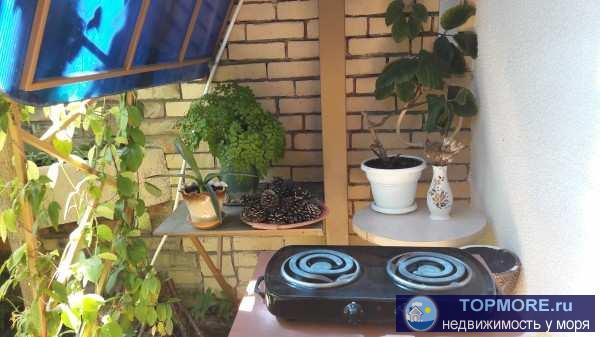 Приглашаем на отдых в нашу мини-гостиницу!   2-3-4-местные номера с удобствами и Wi-Fi, милый дворик, радушный приём,... - 25