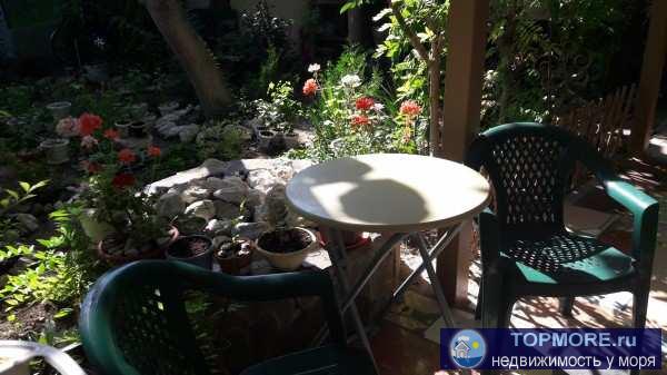 Приглашаем на отдых в нашу мини-гостиницу!   2-3-4-местные номера с удобствами и Wi-Fi, милый дворик, радушный приём,... - 26