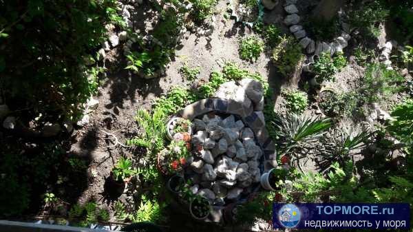 Приглашаем на отдых в нашу мини-гостиницу!   2-3-4-местные номера с удобствами и Wi-Fi, милый дворик, радушный приём,... - 29