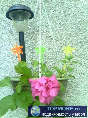 Приглашаем на отдых в нашу мини-гостиницу!   2-3-4-местные номера с удобствами и Wi-Fi, милый дворик, радушный приём,... - 33