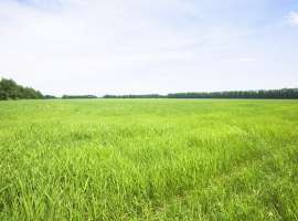 Продаю участок в Симферополе в районе Рыбацкой деревни. Площадь...