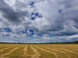 Продаю крестьянско-фермерское хозяйство в Крыму в Раздольненском...