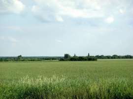 Продаю участок в Крыму, в Симферополе площадью 6 Га. Участок...