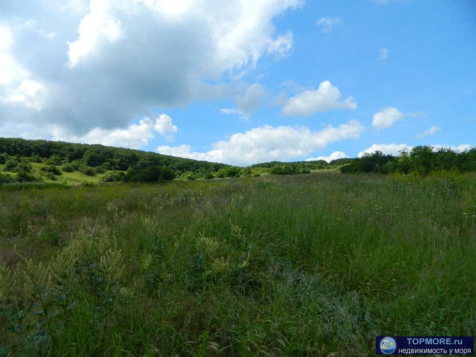 Продаю участок 74 Га в Бахчисарайском районе Крыма, в 17 км от Симферополя на юго-западной части альминской долины, в...