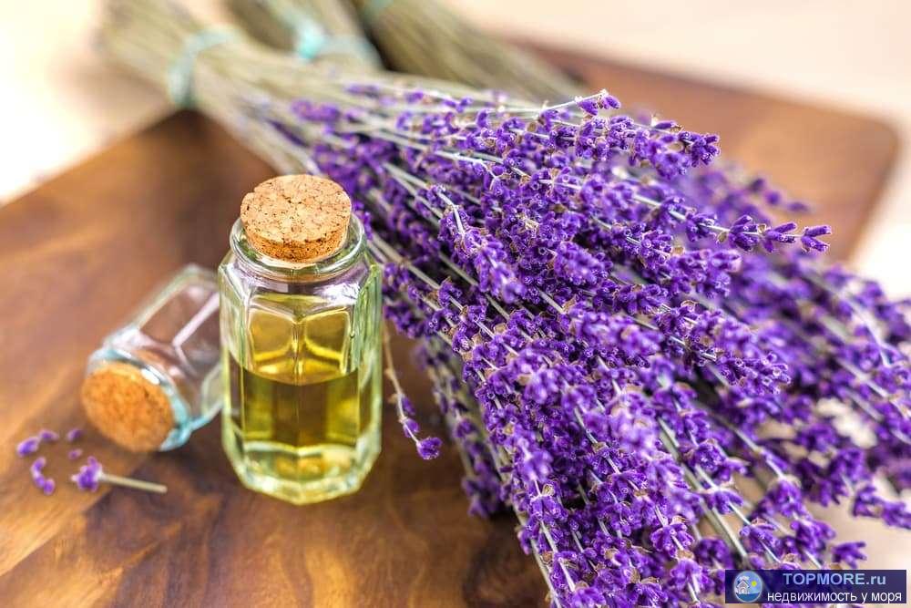 Продаю эфиромасличное производство в Крыму.  Площадь садов: 80 Га. Площадь полей с многолетними насаждениями: 400 Га.... - 4