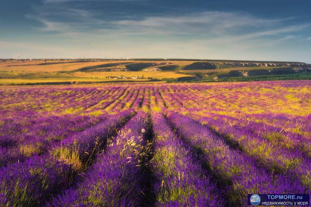 Продаю эфиромасличное производство в Крыму.  Площадь садов: 80 Га. Площадь полей с многолетними насаждениями: 400 Га.... - 5