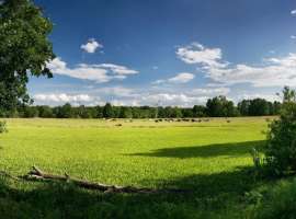 Продаю крестьянско-фермерское хозяйство в Крыму в Черноморском...