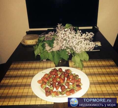 Просторная квартира в новом доме,с видом на море и парк.Рядом 2 пляжа(один песчаный)Парк,историческое место...