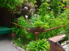 Приглашаем в  Феодосию отдохнуть у Нели!
   В историческом центре,...