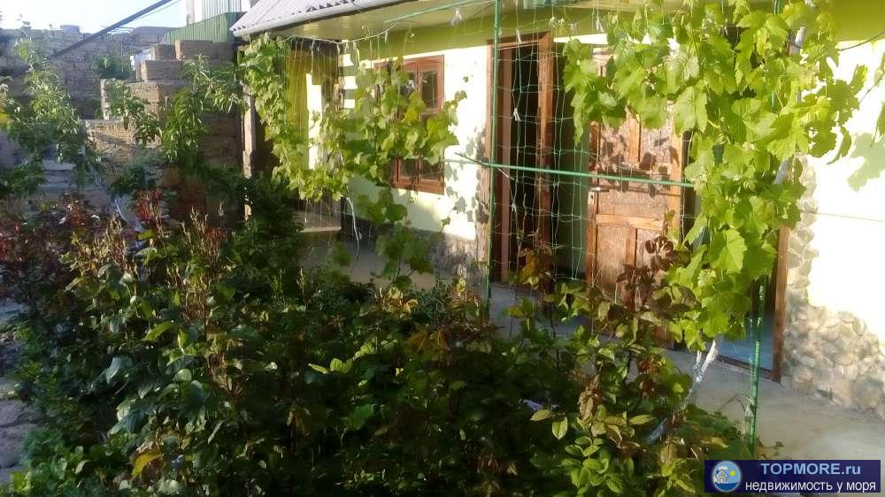 Приглашаю Вас посетить уютный мини-отель на юго-западном побережье черного моря. Гостевой дом с уютными номерами...