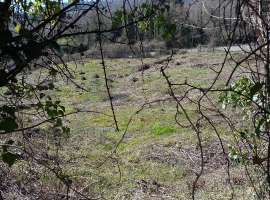 Номер объекта: 37131 Продается земельный участок 5 соток в поселке...