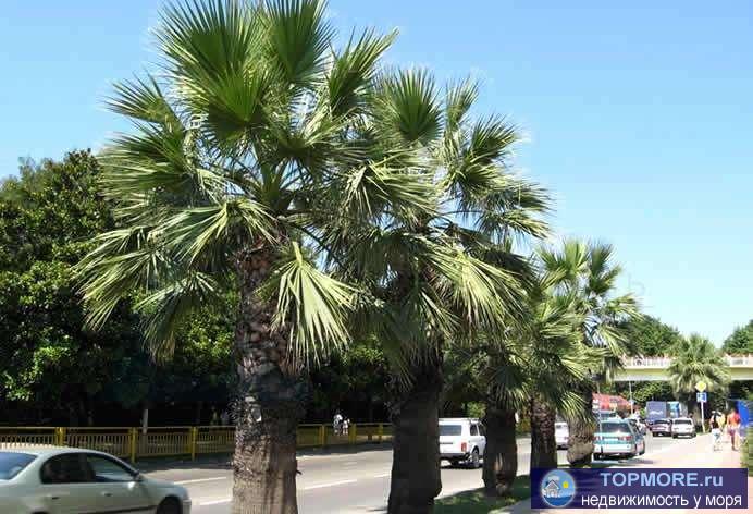 Номер объекта: 37134  Сдается в аренду на сезон частное домовладение по центральной улице Победа. Домовладение у...