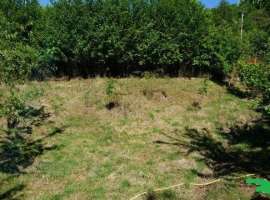 Номер объекта: 37083 Участок в дружном садоводческом товариществе...