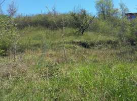 Номер объекта: 37303 Продаю земельный участок 7 соток в ст...