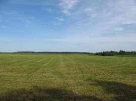 Продаю участок площадью 90 Га со всеми коммуникациями в с....