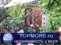 Приглашаю Вас посетить уютный мини-отель на юго-западном берегу черного моря. Комфортабельные просторные номера... - 4